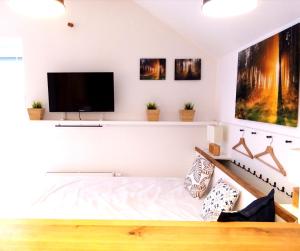 Televízia a/alebo spoločenská miestnosť v ubytovaní Apartmán Jeseníky