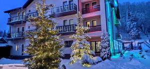プレデアルにあるホテル ドラガ マリアの雪中のクリスマスの木々が咲くホテル