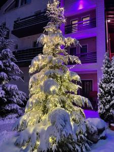 プレデアルにあるホテル ドラガ マリアの建物前の雪に覆われたクリスマスツリー