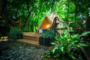 Gallery image of Glamping Ławica- spływy Przełomem Bardzkim in Kłodzko +16 photos