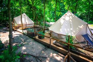 Gallery image of Glamping Ławica- spływy Przełomem Bardzkim in Kłodzko