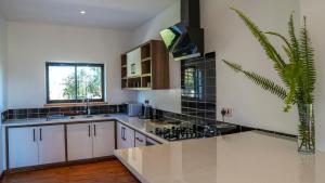 une cuisine avec des armoires blanches et une plante en pot dans l'établissement The Cabin, à Nakuru