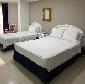 Postel nebo postele na pokoji v ubytování Hotel Suite Santa Rosa
