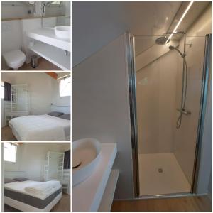 ein Bad mit einer Dusche, einem WC und einem Waschbecken in der Unterkunft Duinengolf 5 in Middelkerke