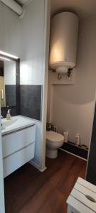 a bathroom with a white sink and a toilet at Agréable studio bord de mer in Saint-Cyprien