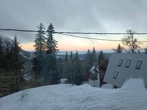 a house on top of a snow covered hill at Apartments Milinkovic in Jahorina
