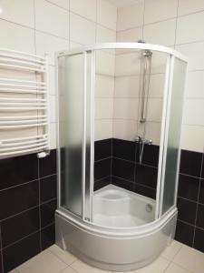 a shower with a glass door in a bathroom at Villa Dobry Adres in Dziemiany +51 photos