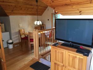 TV a/nebo společenská místnost v ubytování chalupa U Mateja Horna Lehota c12