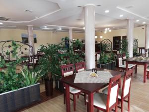 a restaurant with tables and chairs and potted plants at Villa Dobry Adres in Dziemiany