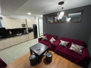 Køkken eller tekøkken på Area Park Bakuriani + 4 billeder