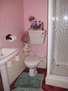y baño con aseo, lavabo y ducha. en East Farm House B&B, en Abbotsbury