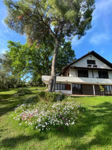 drzewo i kwiaty przed domem w obiekcie Wild Oaks Cottage w mieście Kriopigi