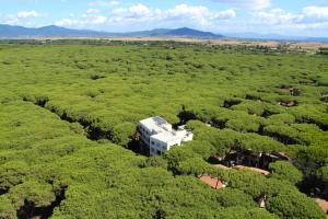 an aerial view of a building in a field of trees at Hotel Rosmarina in Marina di Grosseto