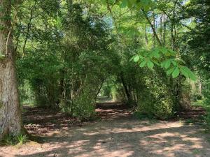 an archway in a wooded area with trees at l'Abeaupinière in Reboursin