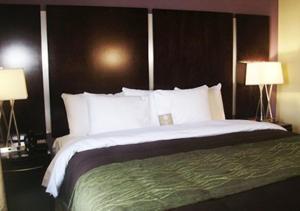 a large bed in a hotel room with two lamps at Comfort Inn & Suites Dothan East in Dothan