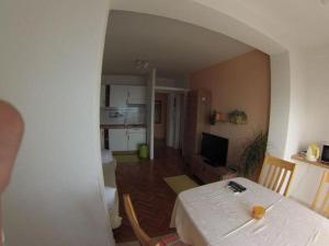 Fotografia z galérie ubytovania Apartment in Duce with sea view, terrace, air conditioning, WiFi 5061-3 v destinácii Duće