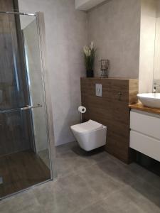 Koupelna v ubytování Apartament Piaskowy Sunset Resort + 24 fotografií