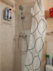 een douche met een douchekop in de badkamer bij PETIT STUDIO 17 M2 in La Foux
