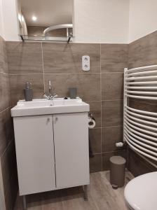 Koupelna v ubytování Minicamping und B&B Apartment Hintergarten