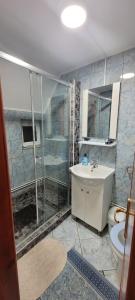 a bathroom with a shower and a sink and a toilet at Pensiunea Casa Ady in Bran +95 photos
