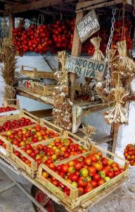 a display of tomatoes in baskets on a market at Casa Tonino in Porto Cesareo