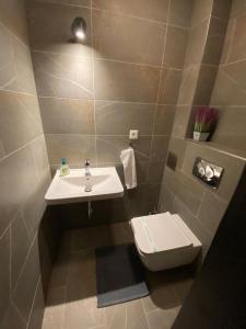 a bathroom with a sink and a toilet at Apartment Tatry mountain in Tatranska Strba +8 photos