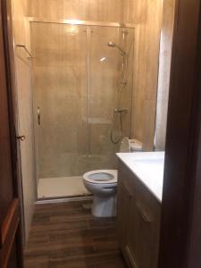 a bathroom with a shower and a toilet and a sink at Casa do Adro-Passadiços do Paiva Arouca in Arouca +48 photos