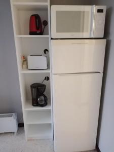 a white refrigerator with a microwave on top of it at Studio Cap d'Agde le Môle in Cap d'Agde