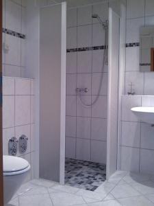 a bathroom with a shower and a toilet and a sink at Fliederhof Ferienwohnungen in Herresbach