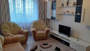 a living room with two chairs and a flat screen tv at Apartament ALEX-LUXURY in Târgu Ocna
