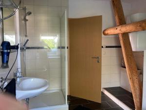 a bathroom with a sink and a shower with a sink at Landhausidyll Apartment Wohn- und Schlafzimmer in Klütz