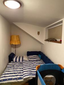 Fotografia z galérie ubytovania Apartment Krkonošská v destinácii Tanvald