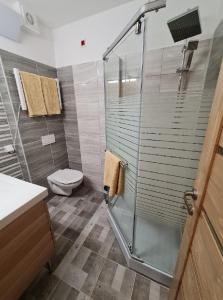 Kúpeľňa v ubytovaní Fenyves Apartmanok
