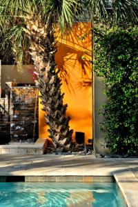 Truman Hotel, Key West – Aktualisierte Preise für 2023