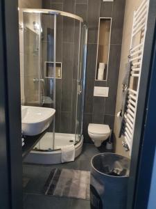 a bathroom with a shower and a toilet and a sink at Apartma A1 GOLTE in Mozirska Koča