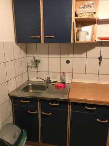 eine kleine Küche mit Spüle und Toilette in der Unterkunft Ferienwohnung Sandner in Porta Westfalica + 13 Fotos