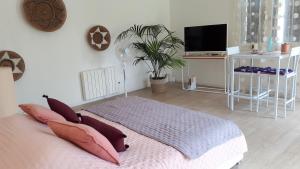 - une chambre avec un lit doté d'oreillers et une télévision dans l'établissement Studio indépendant mios bourg, à Mios