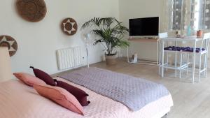 a bedroom with a bed with pillows and a tv at Studio indépendant mios bourg in Mios