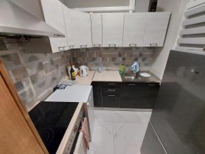 małą kuchnię z białymi szafkami i zlewem w obiekcie Spalona Apartament Jagodna w mieście Bystrzyca Kłodzka