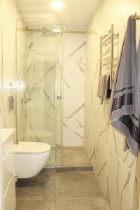 a bathroom with a shower and a toilet and a sink at Prestige Apartments Berezinka in Dnipro