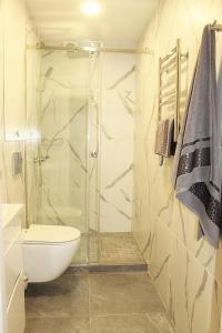 a bathroom with a shower and a toilet and a sink at Prestige Apartments Berezinka in Dnipro +26 photos