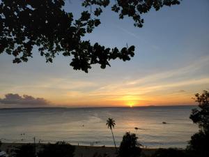 una puesta de sol sobre el océano con una palmera en Aguadilla Sunrise apt with AC WIFI 8 minute walk from Crashboat beach en Aguadilla