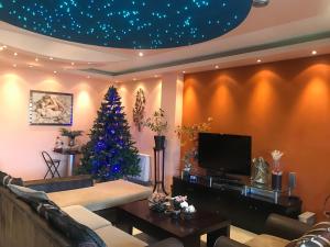 a living room with a christmas tree and a tv at Apartament in Aridaia