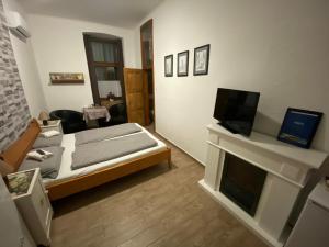 a living room with a bed and a tv at Anna Apartman in Pápa