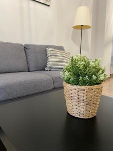 Afbeelding uit fotogalerij van Apartamento Relax Moraira in Moraira