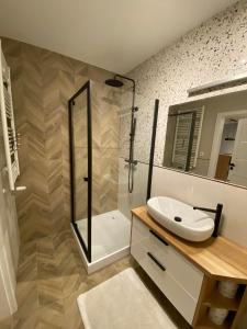 a bathroom with a shower and a sink and a mirror at Apartament z widokiem na jezioro Niegocin, Mazury in Wilkasy