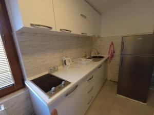 a small kitchen with a sink and a refrigerator at Mountain House - Brezovica in Brezovicë