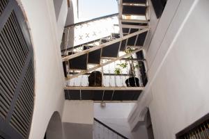 un couloir avec des escaliers dans un bâtiment avec des plantes dans l'établissement Ndar Ndar House, à Saint-Louis