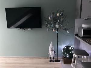 TV a/nebo společenská místnost v ubytování Apartament Widokowy