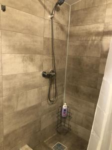 prysznic ze szklanymi drzwiami i prysznicem w obiekcie La cabana w mieście Ocnele Mari